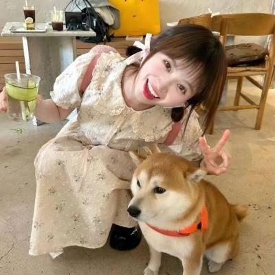 纽约灾星第一季